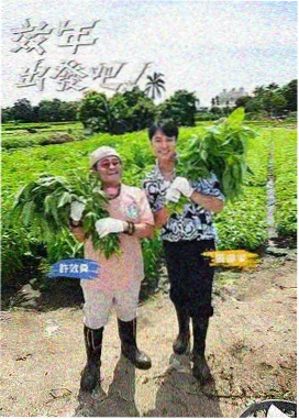 九七电影网作品架封面：灯下综艺稿节目创作档案